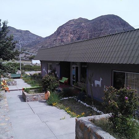 Hotel Las Vicunas Putre Exterior foto